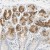Immunohistochemistry-Paraffin: A4GNT Antibody [NBP1-89129] Immunohistochemical staining of human stomach shows strong cytoplasmic positivity in glandular cells.